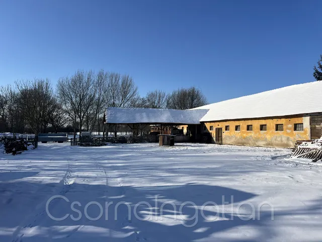 Eladó mezőgazdasági ingatlan Potyond 341 nm