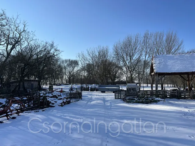 Eladó mezőgazdasági ingatlan Potyond 341 nm
