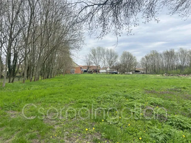 Eladó mezőgazdasági ingatlan Potyond 341 nm