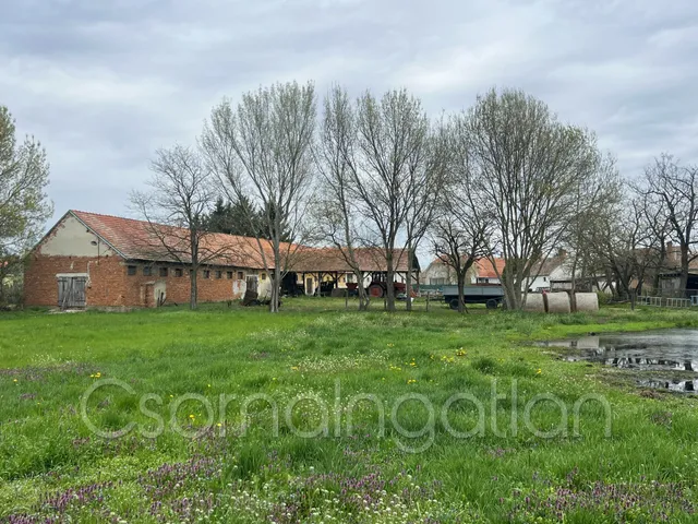 Eladó mezőgazdasági ingatlan Potyond 341 nm