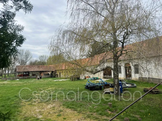 Eladó mezőgazdasági ingatlan Potyond 341 nm