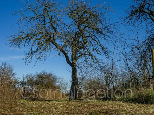 Eladó telek Mórichida 3900 nm