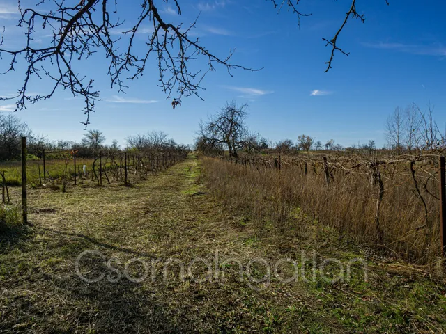 Eladó telek Mórichida 3900 nm