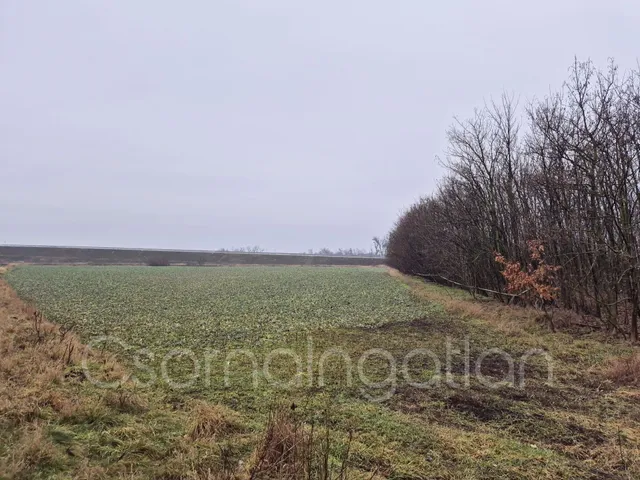 Eladó mezőgazdasági ingatlan Babót 5217 nm