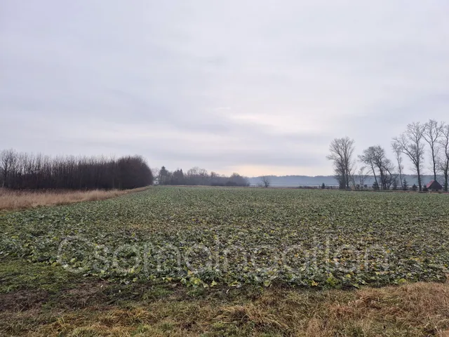 Eladó mezőgazdasági ingatlan Babót 5217 nm