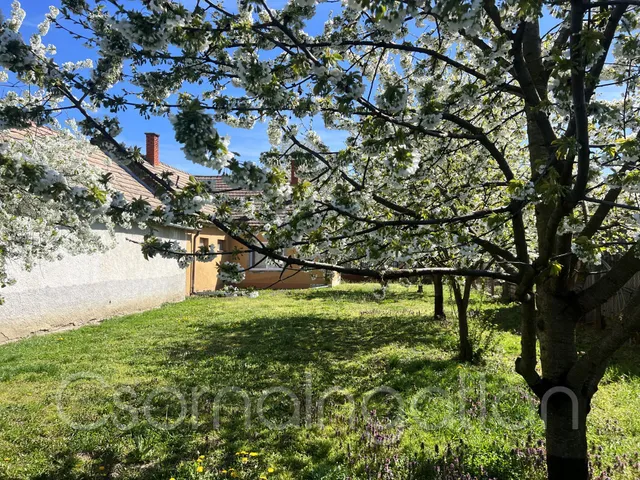 Eladó ház Szil 106 nm