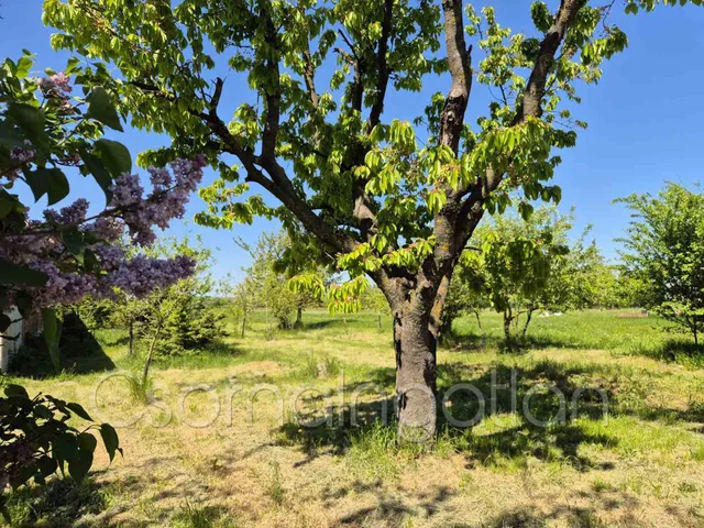 Eladó telek Páli 2730 nm