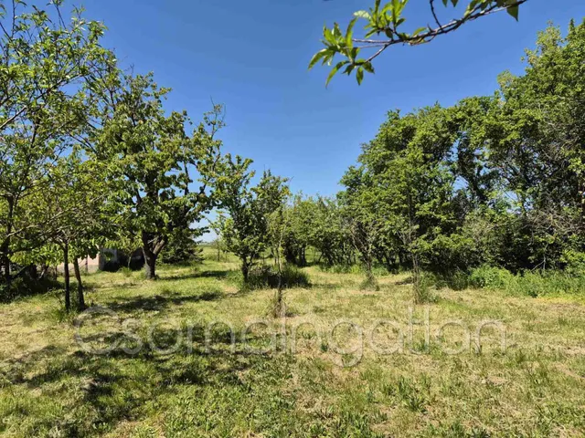 Eladó telek Páli 2730 nm