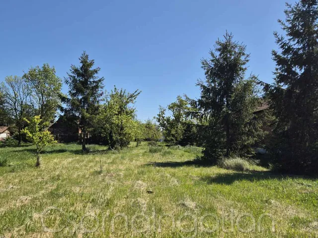 Eladó telek Páli 2730 nm