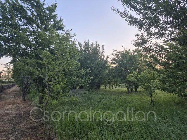 Eladó telek Bodonhely 2863 nm