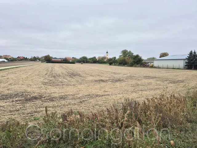 Eladó telek Bágyogszovát 1958 nm