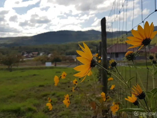 Eladó telek Pilisszentiván 960 nm