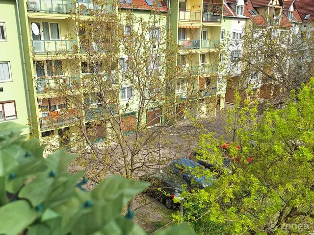 Eladó lakás Eger, Maklárihóstya 62 nm
