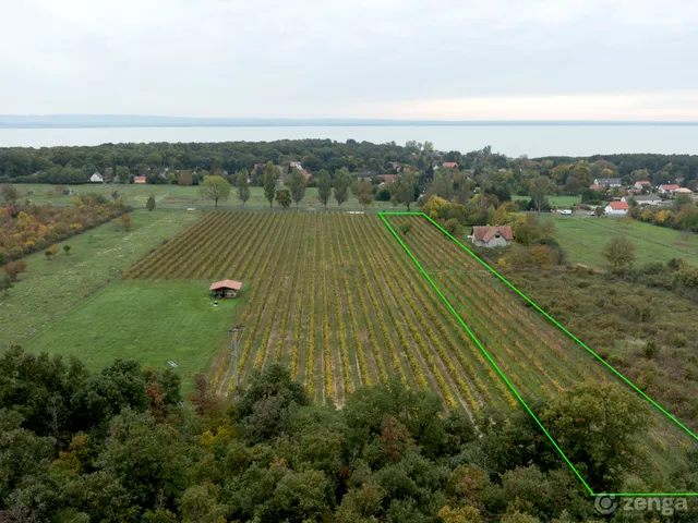 Eladó mezőgazdasági ingatlan Balatonrendes 7135 nm