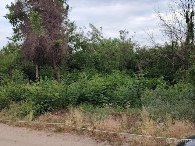 Eladó telek Sülysáp, Tápiósáp 1380 nm