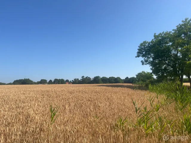 Eladó telek Balatonszabadi 4000 nm