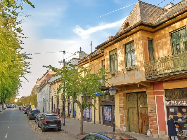 Eladó lakás Vác, Belváros 221 nm