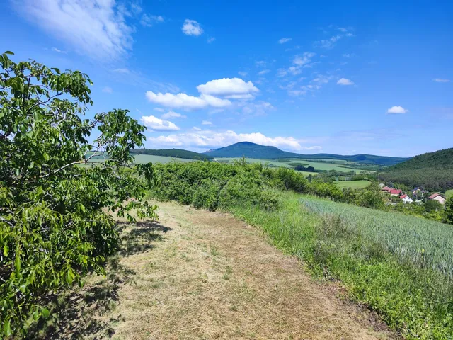 Eladó telek Rád, Kossuth utca 14 2650 nm