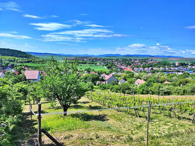 Eladó telek Rád, Kossuth utca 14 2650 nm
