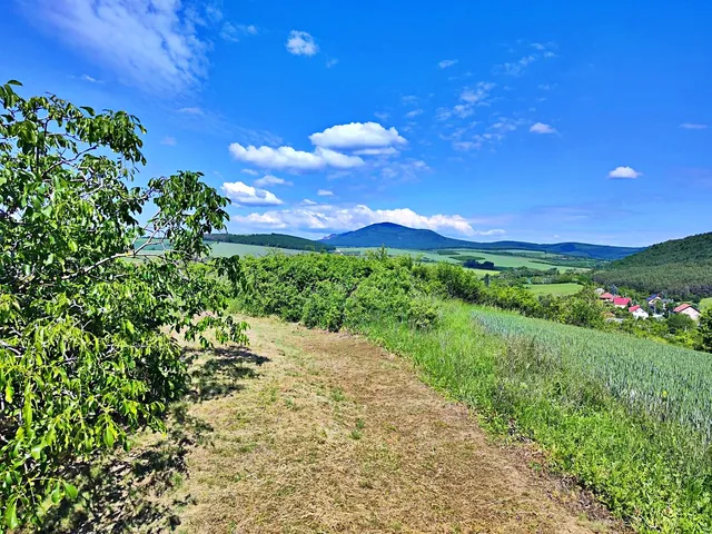 Eladó telek Rád 2650 nm