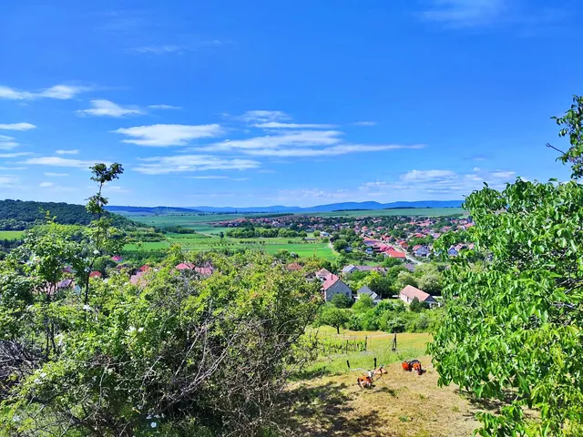 Eladó telek Rád, Kossuth utca 14 2650 nm