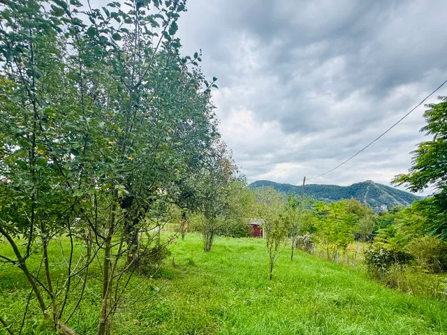 Eladó telek Nagymaros 806 nm