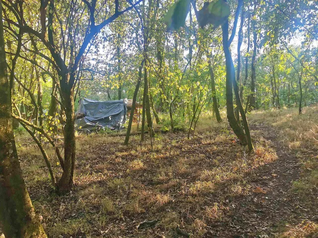 Eladó telek Kismaros, Börzsönyliget 1353 nm