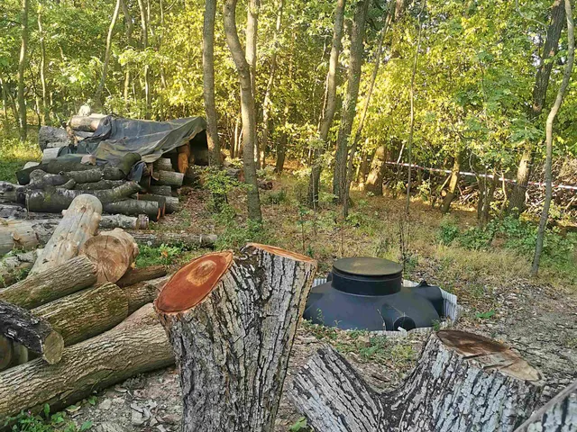 Eladó telek Kismaros, Börzsönyliget 1353 nm