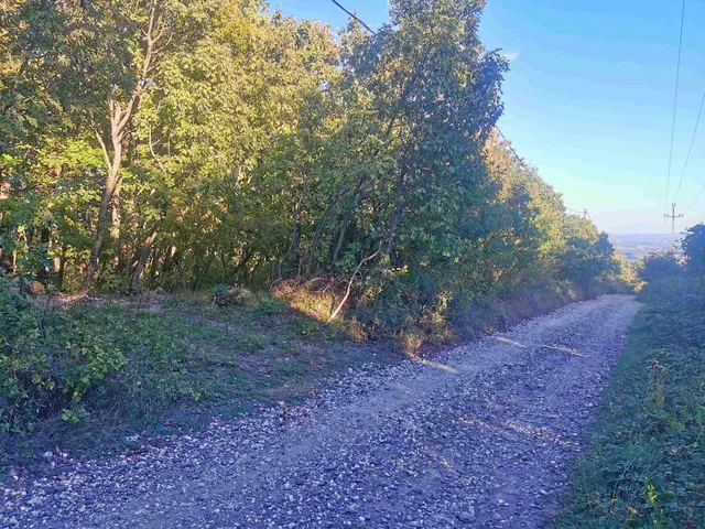 Eladó telek Kismaros, Börzsönyliget 1353 nm