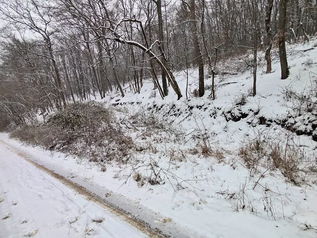 Eladó telek Kismaros 1765 nm