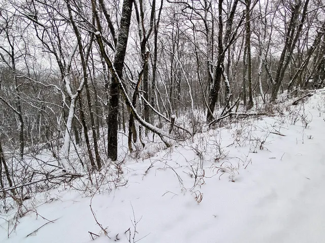 Eladó telek Kismaros 1765 nm