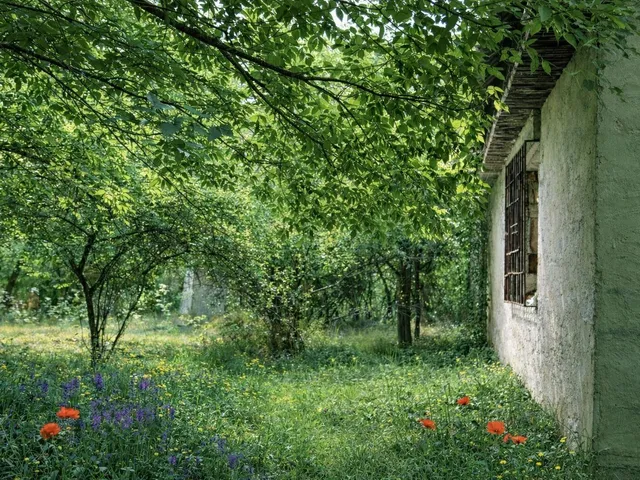 Eladó telek Lajosmizse 38122 nm