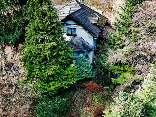 Eladó ház Kismaros, Börzsönyliget 188 nm