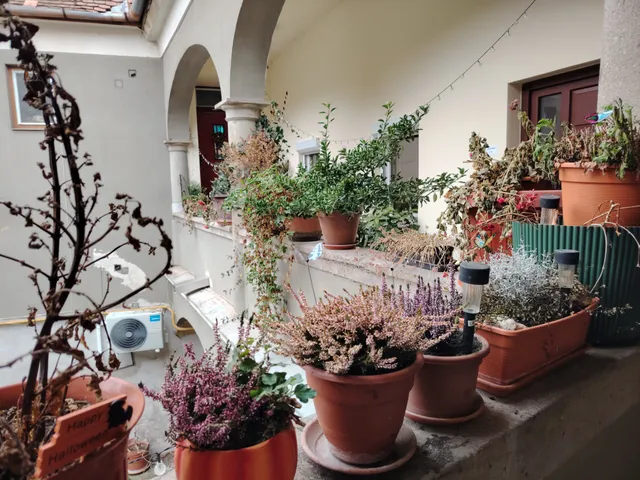 Kiadó lakás Eger, Belváros 55 nm