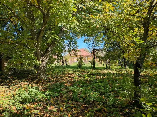 Eladó ház Feldebrő 77 nm