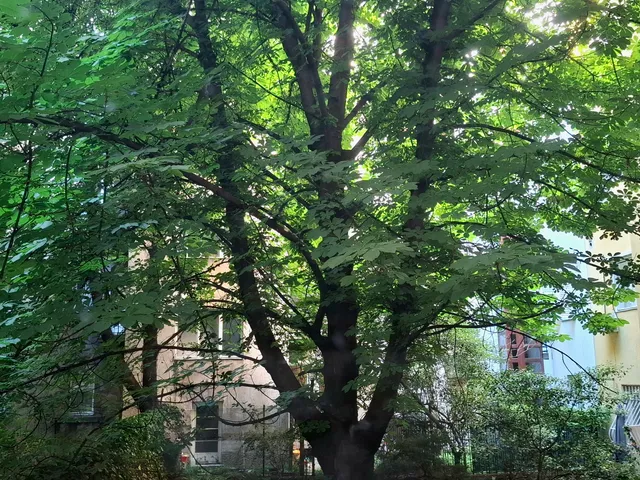 Eladó lakás Budapest XIII. kerület, Újlipótváros, Radnóti Miklós 85 nm