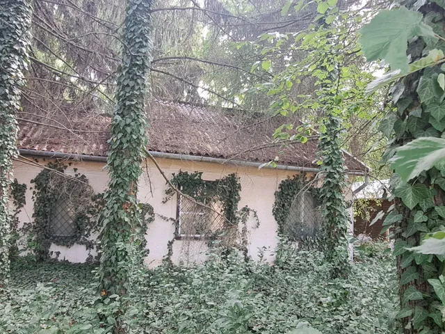 Eladó üdülő és hétvégi ház Gyula, Városerdő 105 nm