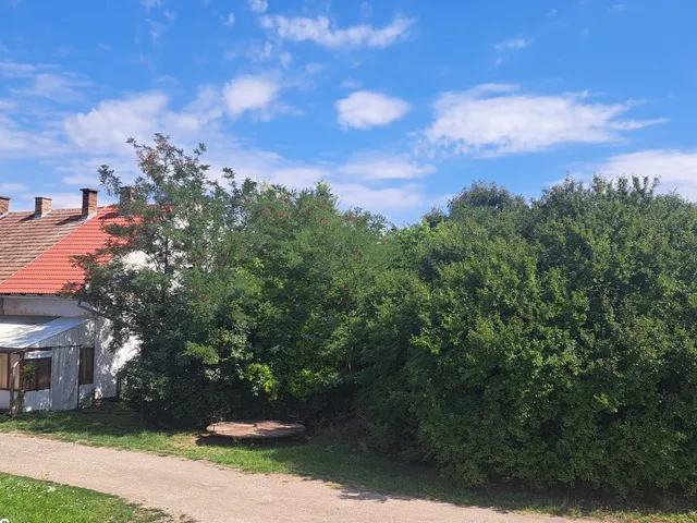 Eladó lakás Sarkad 40 nm
