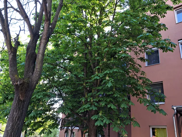 Eladó lakás Gyula, Paradicsom 43 nm