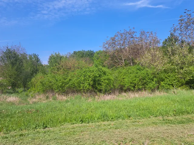 Eladó telek Gyula, Galbácskert 1000 nm