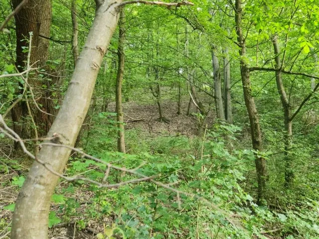 Eladó telek Visegrád, Újhegy, Csukavölgy 278 2871 nm