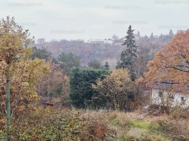 Eladó telek Szentendre, Tyúkosdűlő 1228 nm