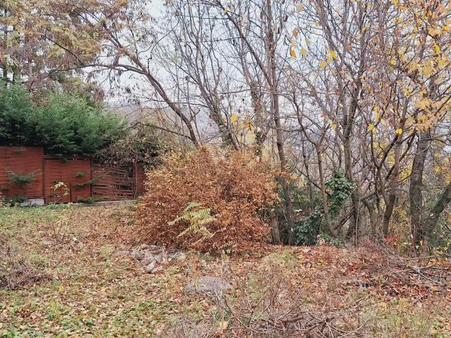 Eladó telek Szentendre 669 nm