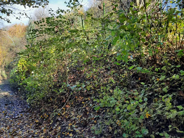 Eladó telek Visegrád, Újhegy 2885 nm