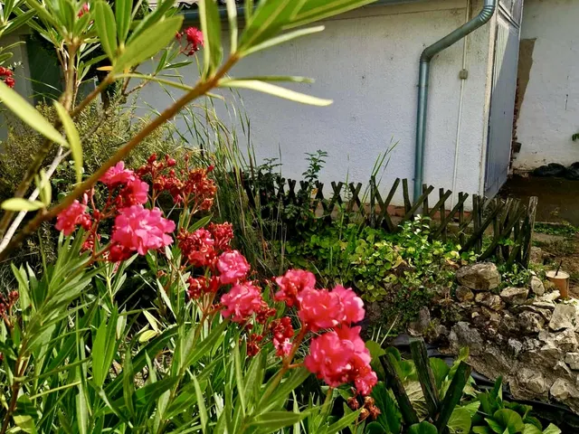 Eladó ház Zalaegerszeg, Páterdomb 160 nm