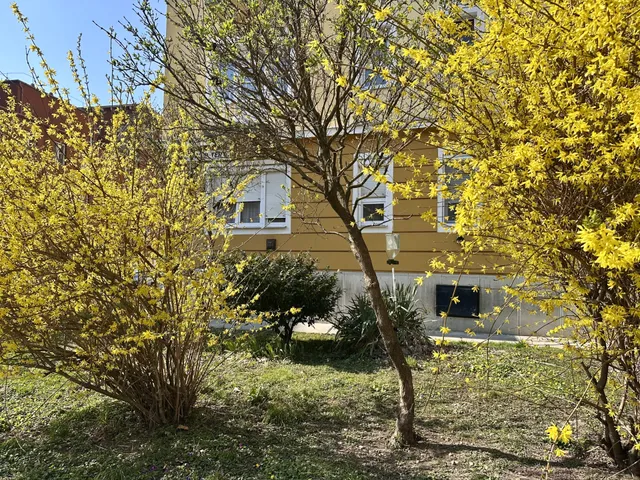 Eladó lakás Zalaegerszeg, Belváros 31 nm