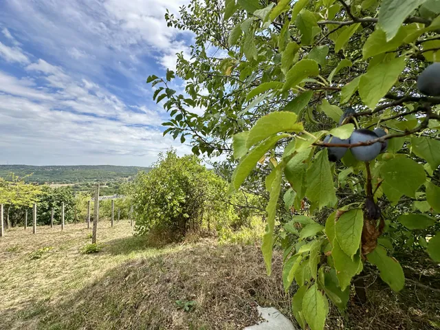 Eladó telek Zalaegerszeg 2295 nm