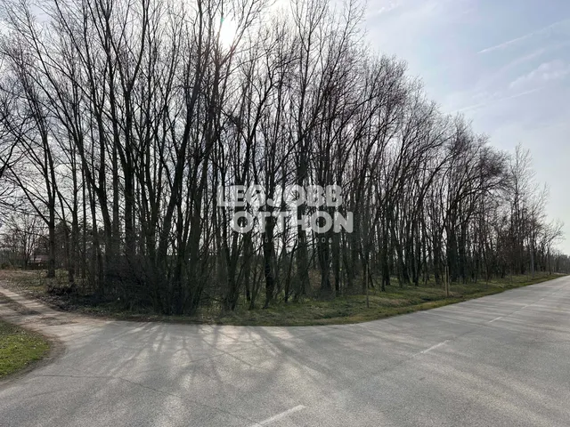 Eladó telek Cegléd 8397 nm