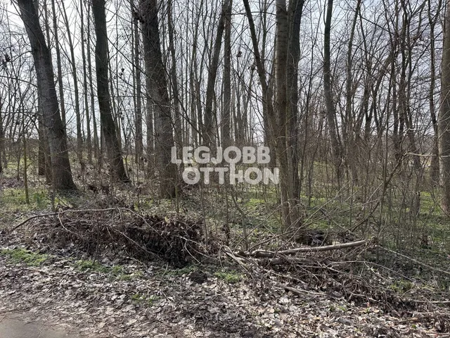 Eladó telek Cegléd 8397 nm