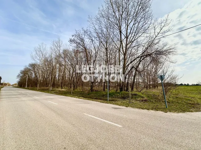 Eladó telek Cegléd 8397 nm